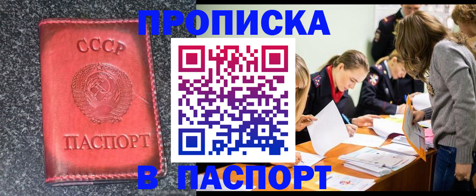 прописка для школы в Электрогорске